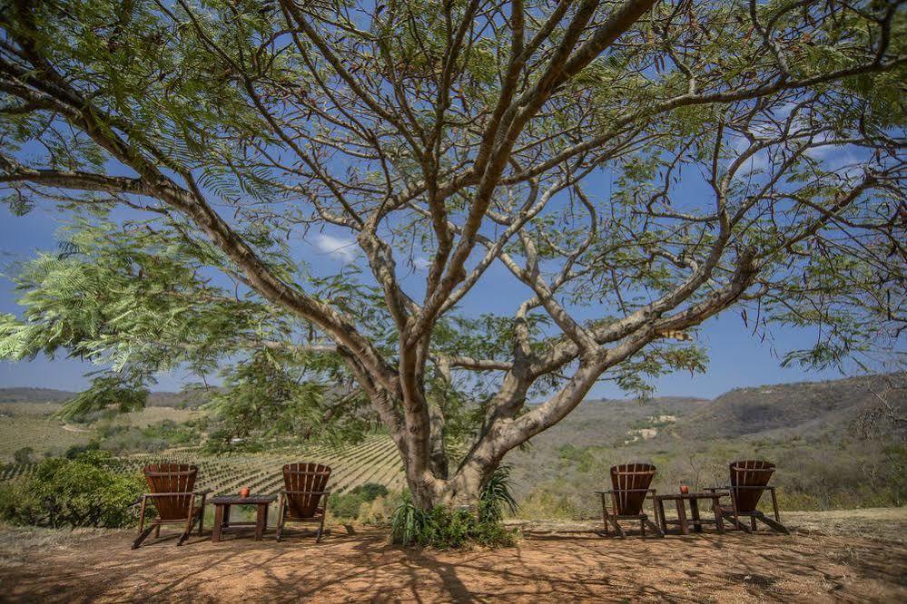 Abangane Guest Lodge Hazyview Bagian luar foto