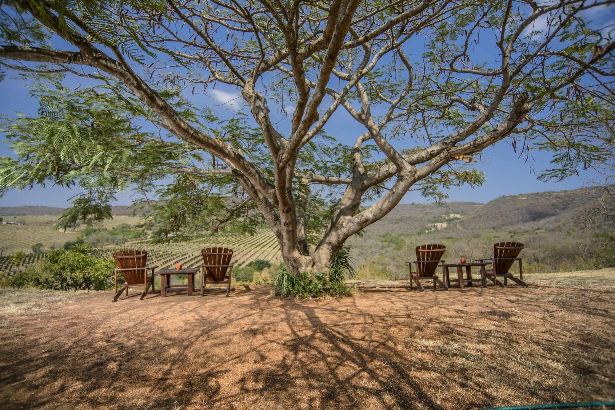 Abangane Guest Lodge Hazyview Bagian luar foto